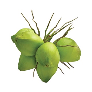 Dừa tươi nguyên trái