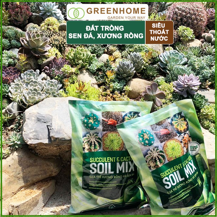 Đất trồng Sen đá Soil Mix, bao 1kg, đầy đủ dinh dưỡng, thoát nước tốt, Sen đá bền màu |Greenhome