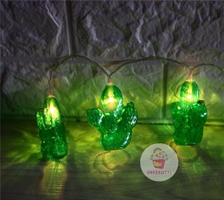 DÂY ĐÈN CACTUS