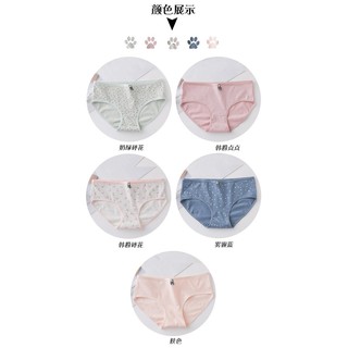 HÈ Quần chip cotton >> 💯 ་ new , ) !