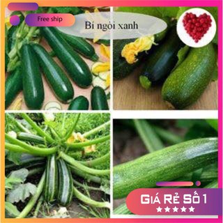 Hạt giống bí ngòi xanh dễ trồng ( 10 hạt) LUCKY.VN