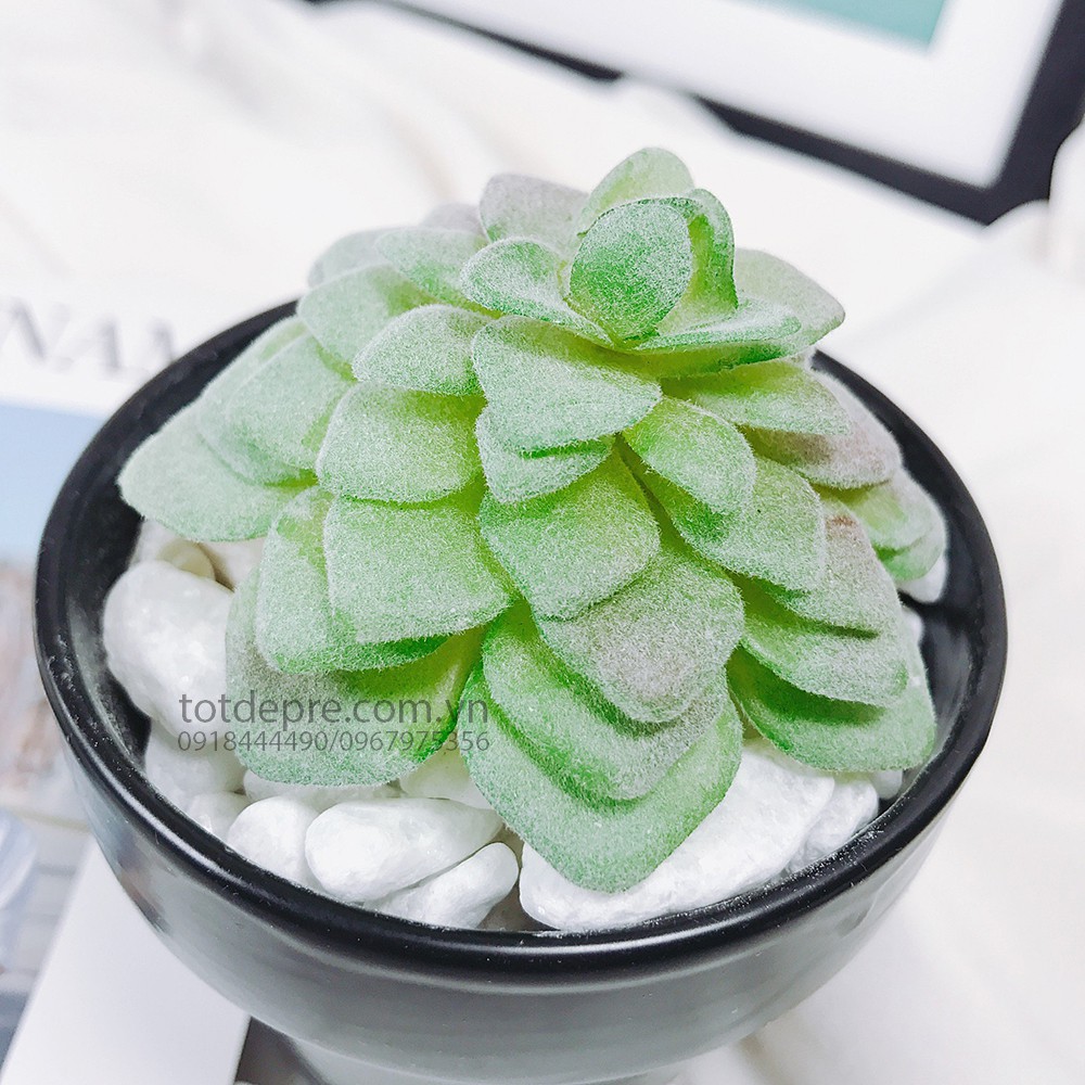 Sen đá nhựa silicon phủ phấn - Cây Giả MN01