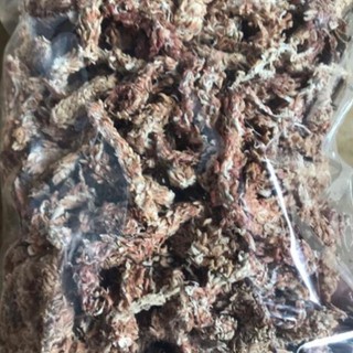 DỚN MỀM TRỒNG LAN CHILE ( RÊU SÂU ) SPHAGNUM MOSS-HN 100gr