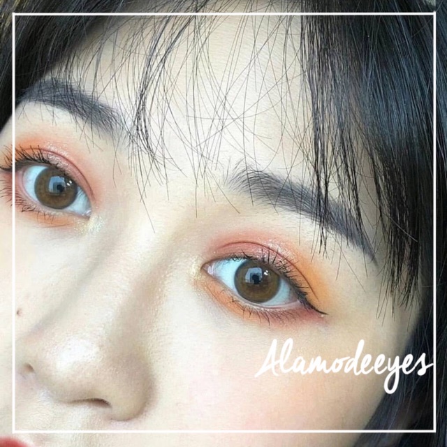 Lens nâu mật ong áp tròng