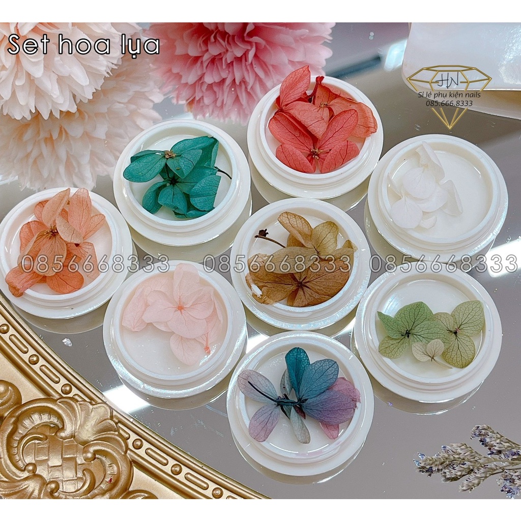 set hoa khô ẩn gel cánh mỏng