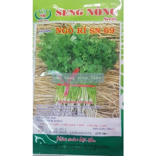 hạt giống ngò rí