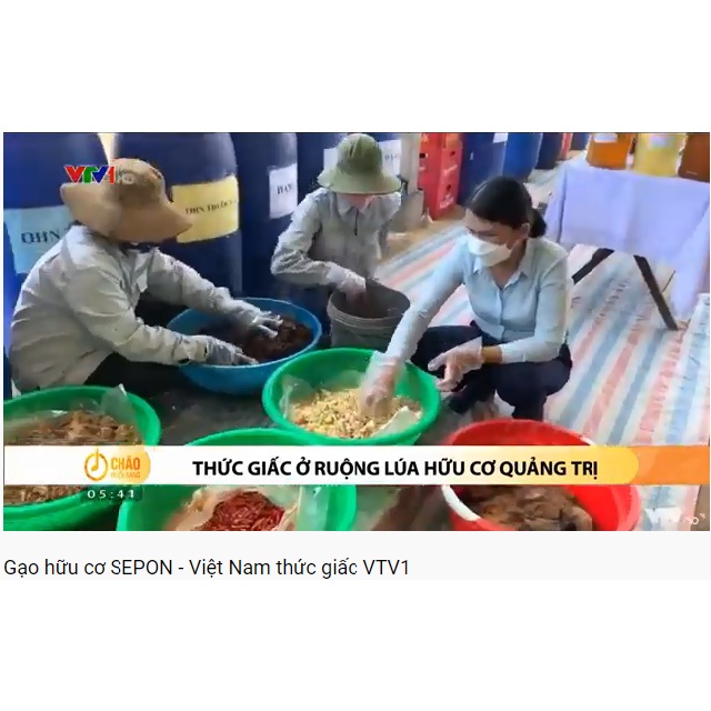 Gạo sạch hữu cơ / Gạo Organic SEPON - Giống ST25 - Gạo ngon nhất thế giới. 5kg
