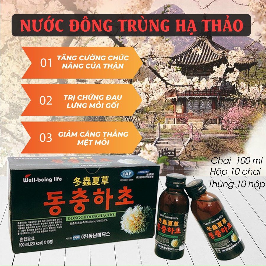 [HÀNG MỚI] Nước Đông Trùng Hạ Thảo Hàn Quốc,Hộp 10 Chai x 100ml [DATE 2023]