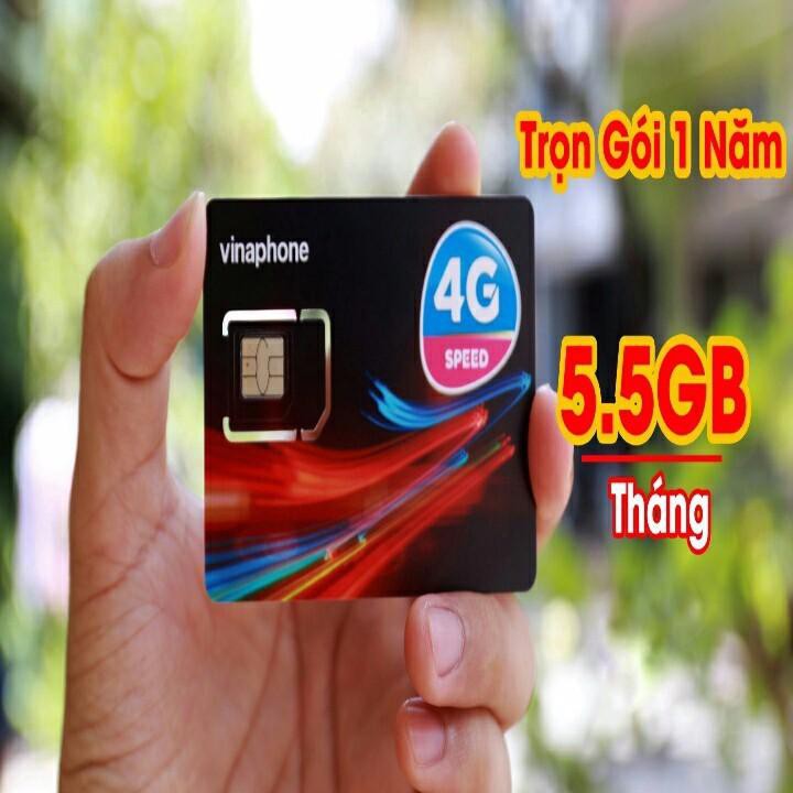 Sim Ezcom Vinaphone D500 trọn gói 1 năm
