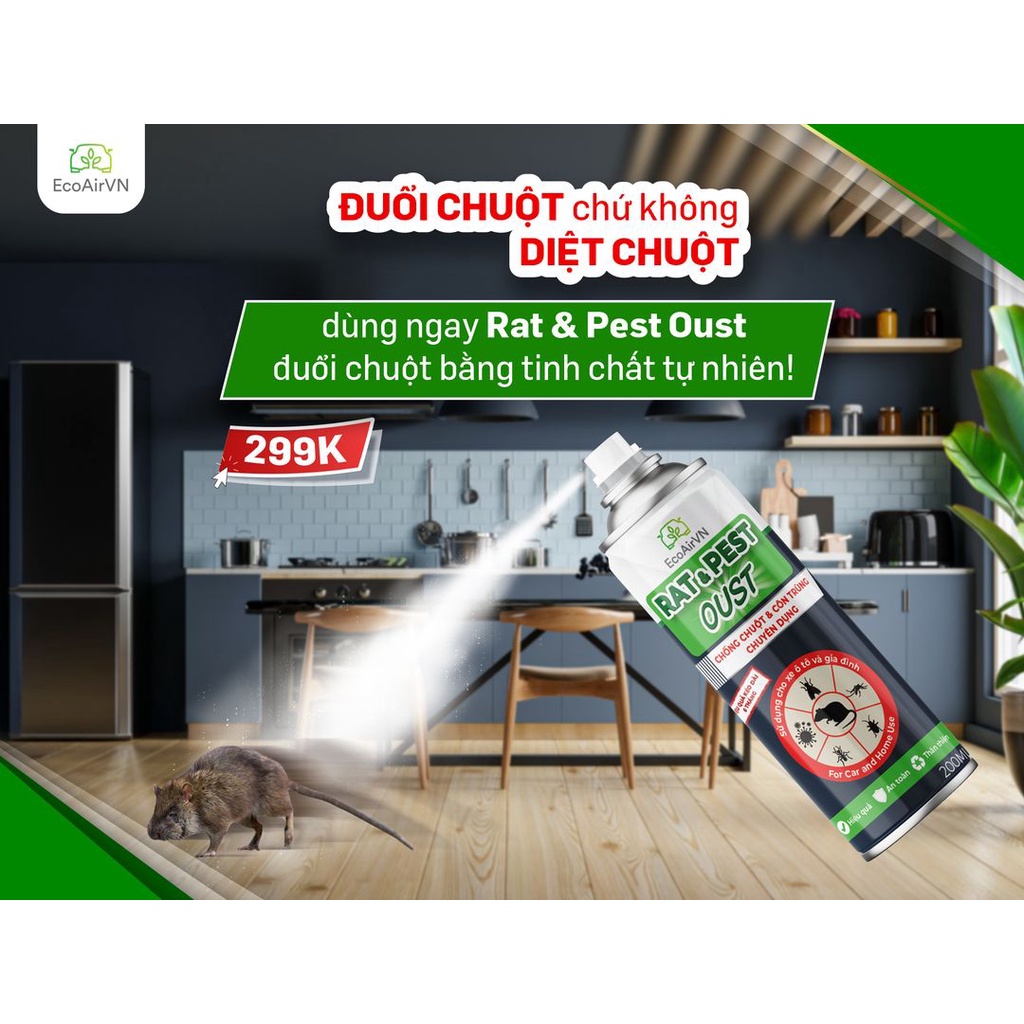 XỊT CHUỘT AN TOÀN ĐUỔI SẠCH CHUỘT TRONG NHÀ CHỈ QUA MỘT ĐÊM
