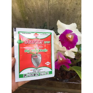 5 gói STARNER 20WP- Thuốc đặc trị thối nhũn do vi khuẩn 10g