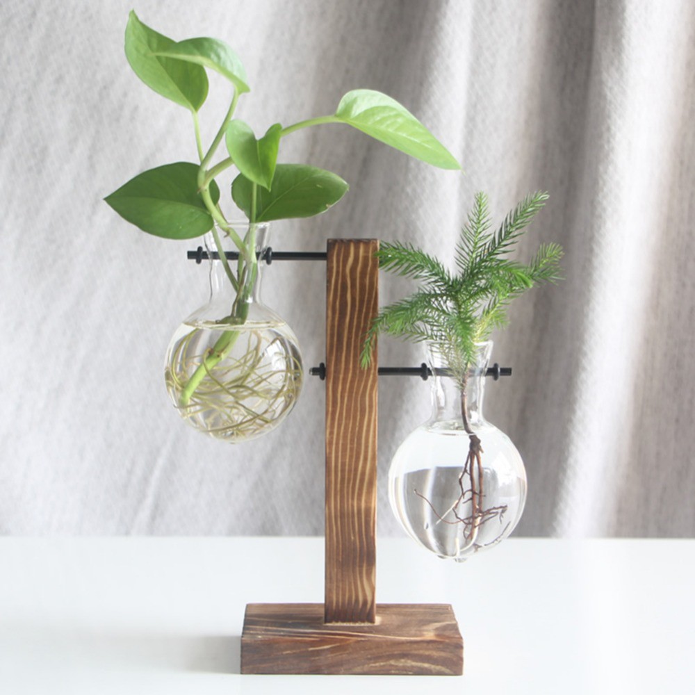 Bình thủy tinh trồng cây có đế gỗ hiện đại chất lượng cao