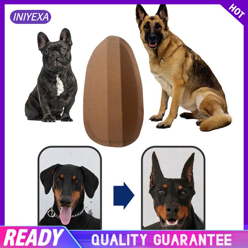 Giá Đỡ Chỉnh Tai Chó Doberman Pinscher / Samoyed Tiện Dụng