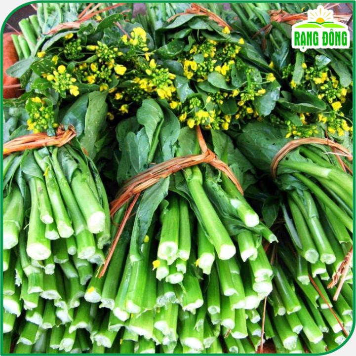 Hạt giống Cải Ngọt Bông (Cải Ngồng) Chịu Nhiệt, Dễ Chăm, Trồng Quanh Năm (gói 20 gram) - Hạt Giống Rạng Đông