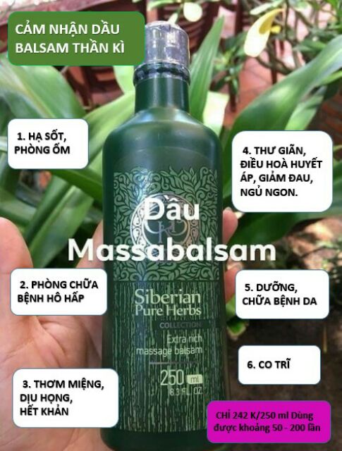 Dầu thoa Balsam của Siberian nước Nga (mẫu mới)