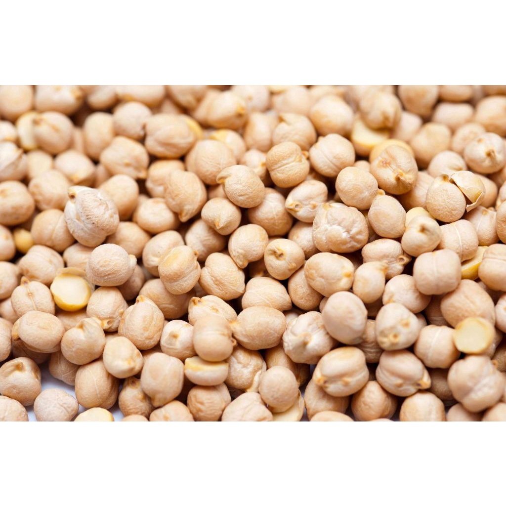Đậu gà đậu răng ngựa Chick pea Enko hàng nhập khẩu 500g 1kg FENNC