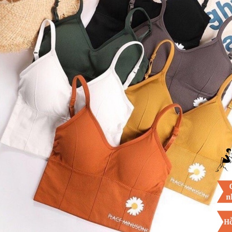 ÁO BRA CROPTOP COTTON HOA CÚC HOẠ MI DAISY TẠO EO THON HỞ LƯNG - KHOÉT LƯNG FREE SIZE 40-55KG (Video &amp; Ảnh thật)