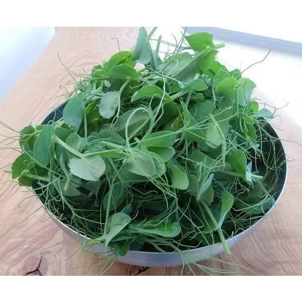 Gói 40 Hạt giống đậu hà lan lùn ăn được cả quả và ngọn