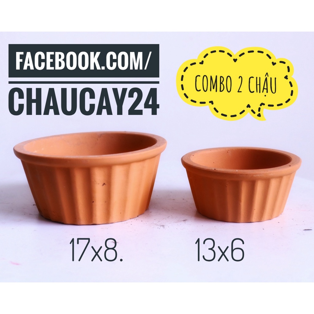 Chậu đất nung (COMBO 2 CÁI) chậu cây sen đá, chậu cây để bàn