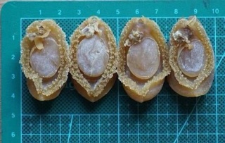 Bào Ngư khô (Size mini/Size trung)