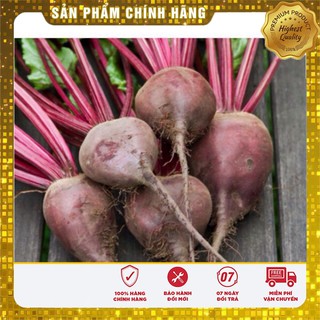 Hạt Giống Củ Dền Đỏ(2gr)