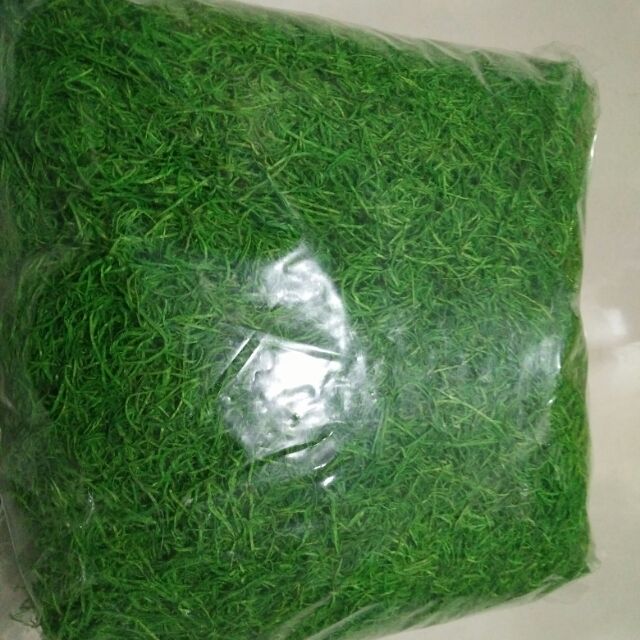 Rêu phủ lo(Rêu Việt Nam)