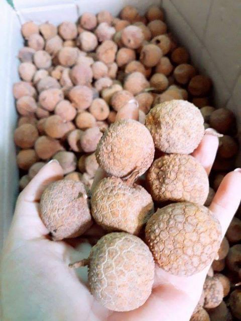 [GIÁ HỦY DIỆT] 500G VẢI THIỀU SẤY KHÔ BẮC GIANG