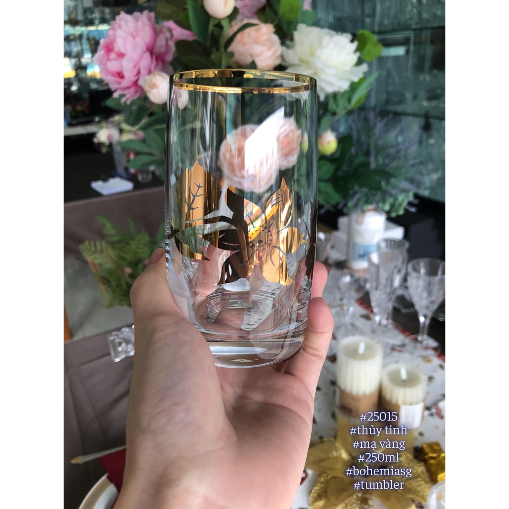 Bộ ly thủy tinh Tiệp Khắc 250ml