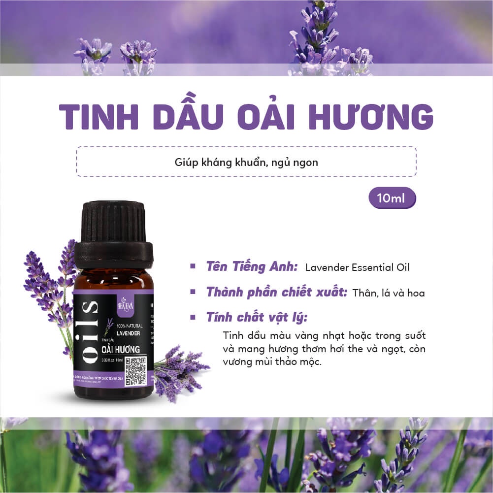 Tinh dầu Xông Oải Hương Haeva Cao Cấp, 100% Thiên Nhiên, kháng khuẩn, giúp ngủ ngon, đuỗi muỗi, Chai 10ml/30m/100ml