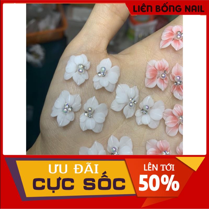 Hoa bột nail chân