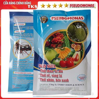 PSEUDOMONAS Phòng Trừ Bệnh héo Xanh, Thối Cổ Rễ Trên Tất Cả Cây Trồng - GÓI 500gr