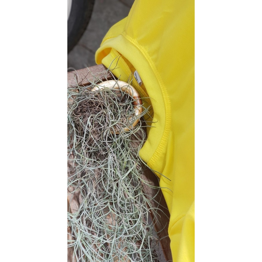 Áo thun trơn nam nữ  Tyasuo mềm mịn nhiều màu | BigBuy360 - bigbuy360.vn