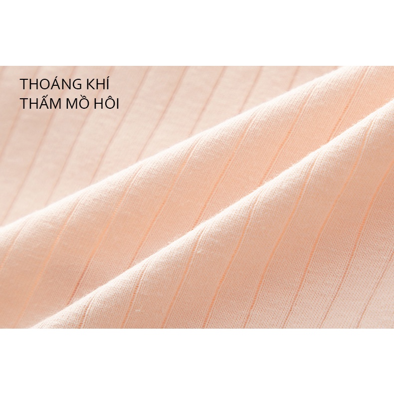 Quần lót nữ cotton kẻ sọc 310