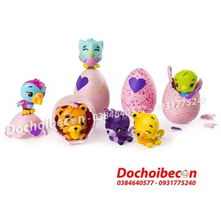 Hatchimals Bộ 4 Trứng Mini SS2 + 1 thú Hatchimal - Full box #Hatchimals