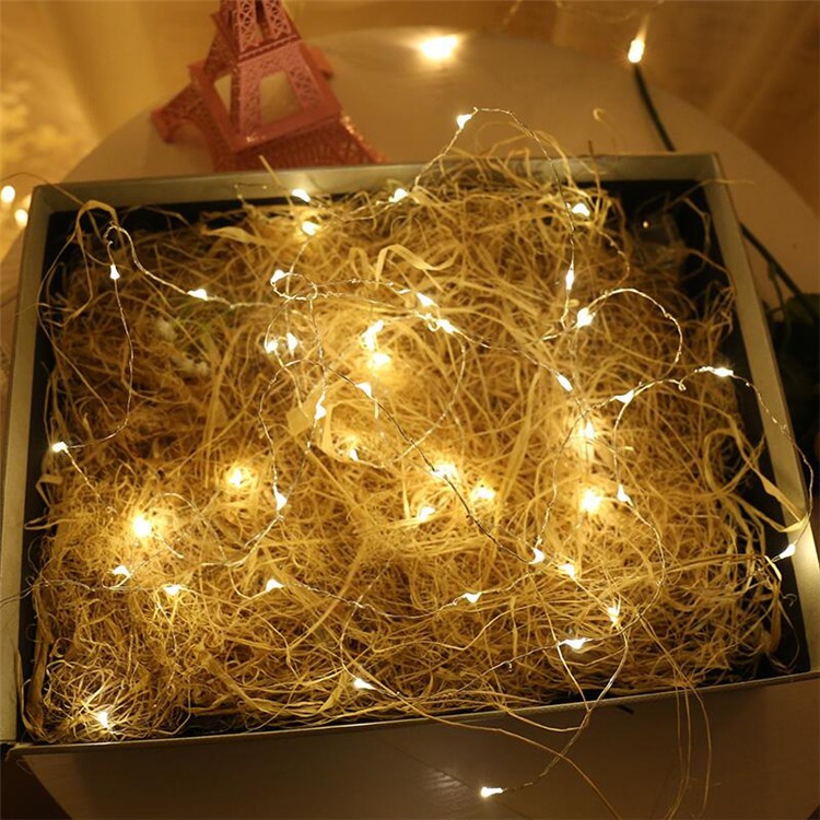 Đèn Led Đom Đóm Fairylight 2 mét dùng pin tròn CR2032