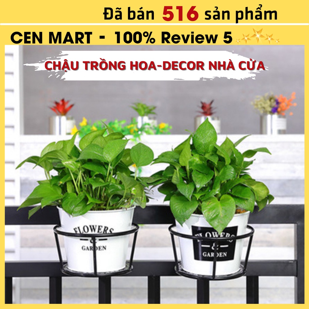 Chậu Thiếc Trồng Cây Cen Mart Trồng Hoa, Decor Nhà Cửa Xanh, Trắng, Vàng Sơn Tĩnh Điện, Chống Han Gỉ Có Lỗ Thoát Nước