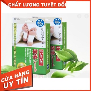 (Nhật Auth) MIẾNG DÁN THẢI ĐỘC CHÂN KENKO NHẬT BẢN 30 miếng