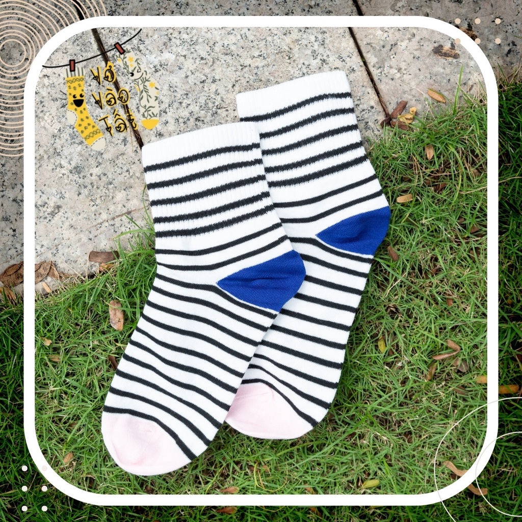 TẤT VỚ CỔ CAO TRUNG SỌC PHỐI 3 MÀU