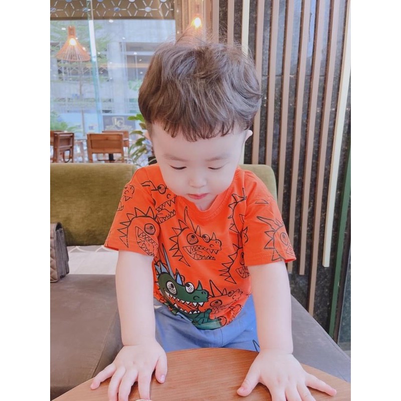 ANU267 - ÁO PHÔNG ĐÔI KHỦNG LONG CHO MẸ VÀ BÉ