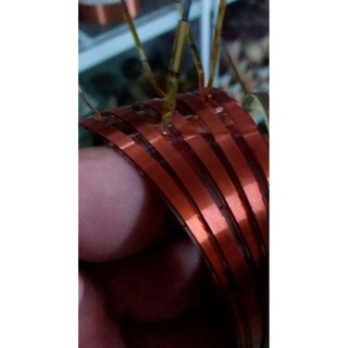 5 vòng trép đồng 74.4