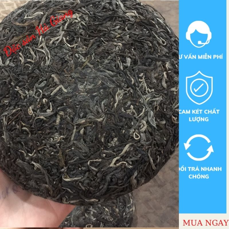 Trà phổ nhĩ sống Đặc sản Hà Giang vị ngon đậm đà, hương thơm
