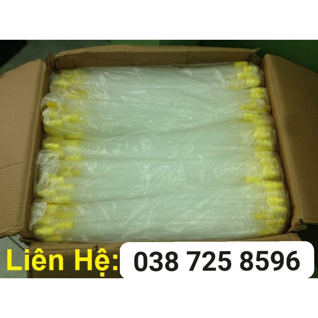 100 que thụ tinh lợn