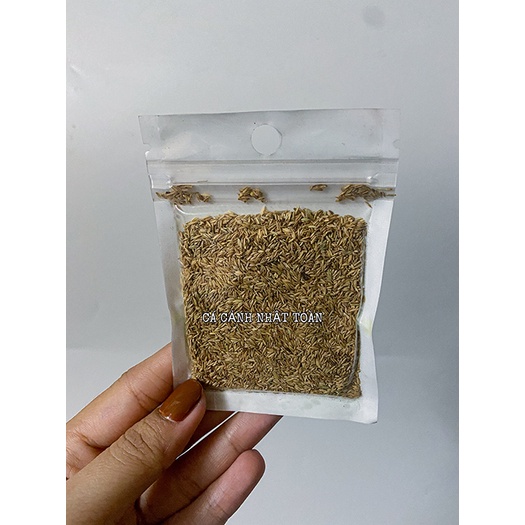 HẠT GIỐNG THỦY SINH NGƯU MAO CHIÊN LÙN 10g