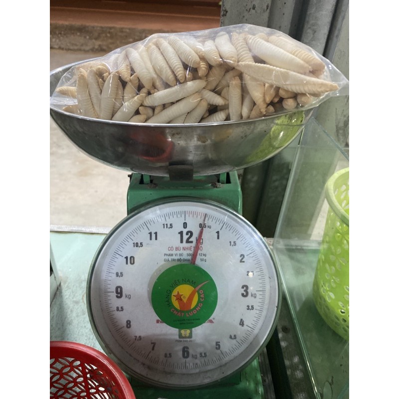 Bánh đuông dừa- béo nước cốt dừa 500G- Bánh men con sâu