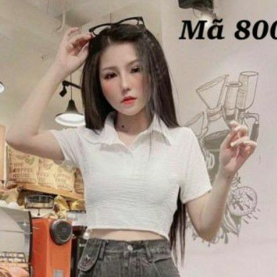 Áo thun croptop cổ bẻ cao cấp tay ngắn