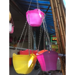 Combo 6 chậu treo dây xích