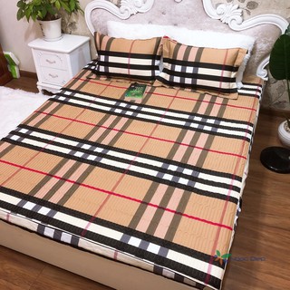 Bộ ga chun trần bông kèm 2 vỏ gối mẫu BBR