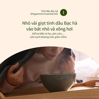 Tinh dầu bạc hà 100ml, hương thơm tươi mát, dễ chịu, tỉnh táo, chiết xuất từ thiên nhiên