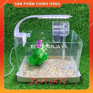 Bể Cá Kính Đúc Để Bàn, - Bể Mini - HỒ ĐÚC MINI ĐỂ BÀN