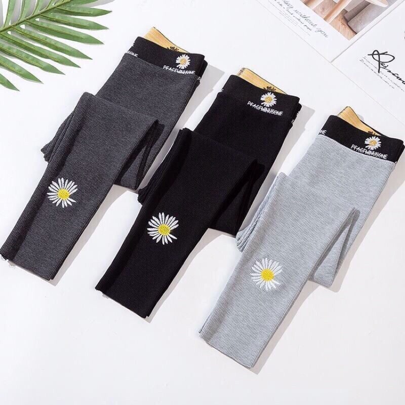 Quần legging tăm hoa cúc mẫu mới